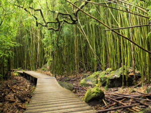 Haleakala National Park