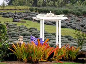 Alii Kula Lavender Farm Maui Hawaii