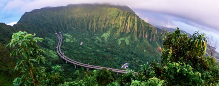 beautiful walkway in the rainforest hawaii