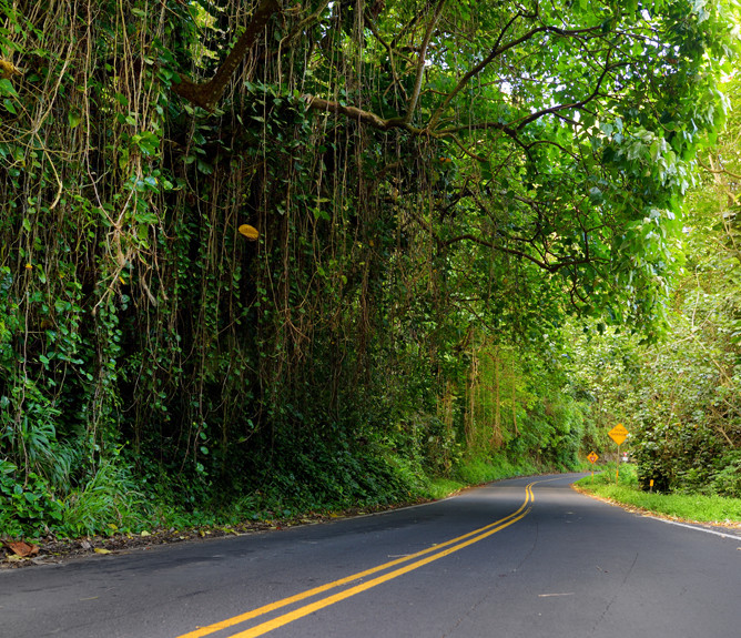 road-to-hana-is-left