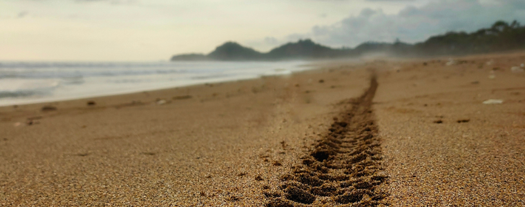 motorcycle tracks in sand