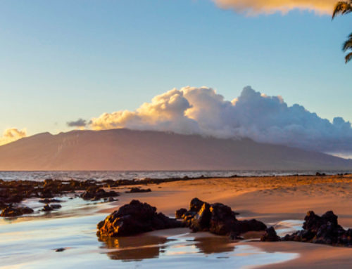 13 Reasons to Move to Maui
