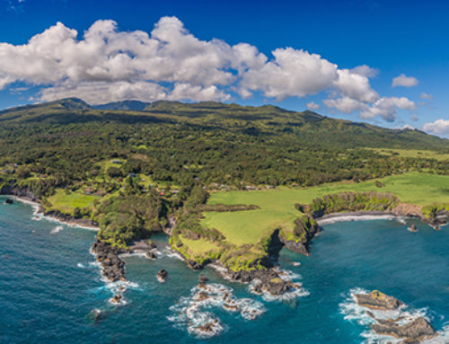 12 Things to Know Before You Move to Maui