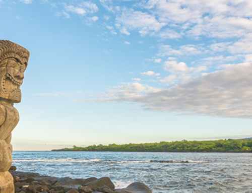 8 Things You Need to Know Before Moving to Kona