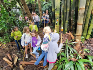 kids hiking in cloud forest