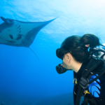 082321 Kona activities manta rays lady scuba diving with manta rays