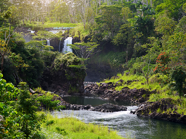 090621 PeePee Majesitc Pee Pee Falls waterfall in Hilo, Wailuku River State Park, Hawaii, USA