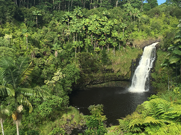 Kulaniapia Falls, Hilo, Big Island, Hawaii, USA