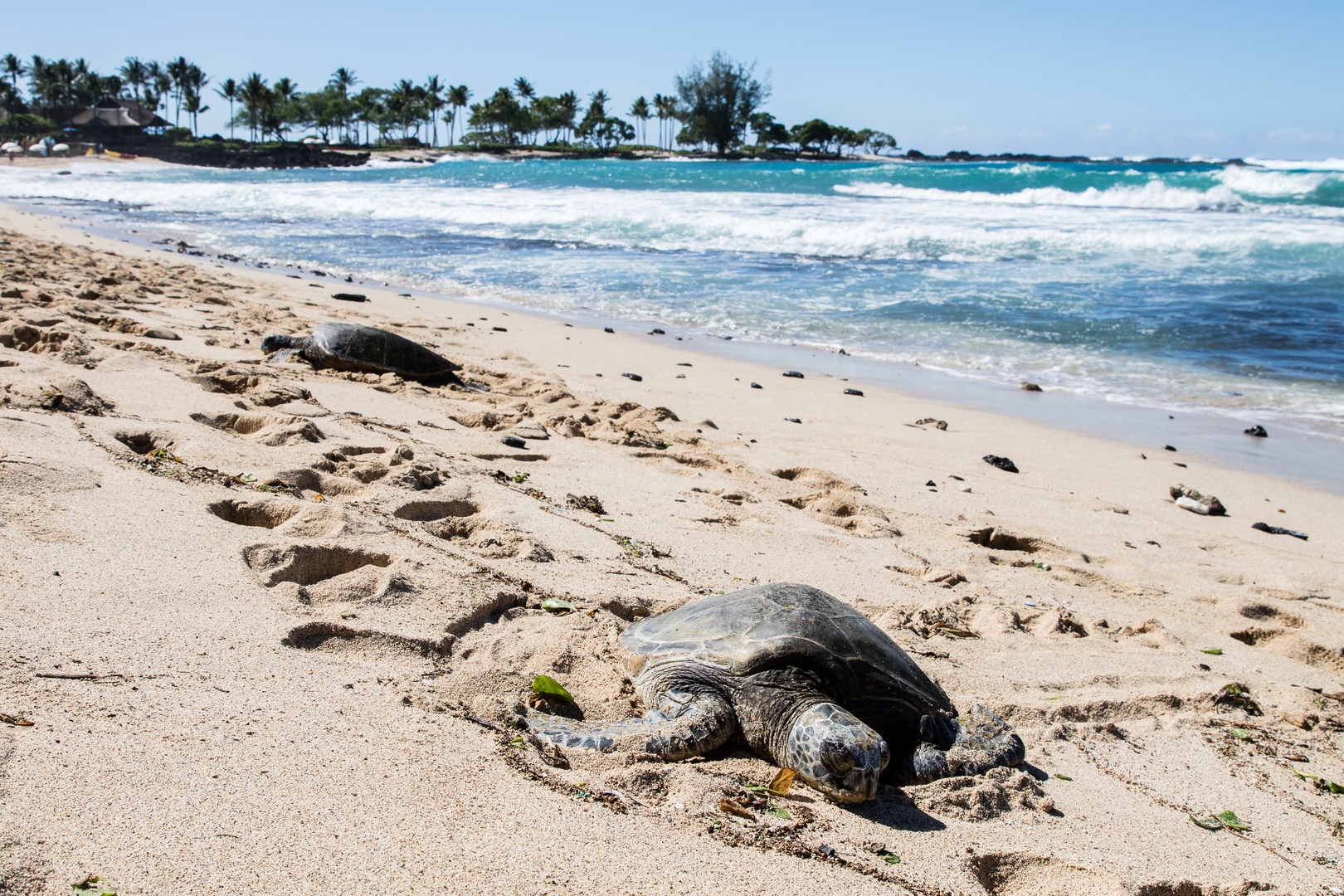 Kukio Beach https://www.outdoorproject.com/united-states/hawaii/kukio-beach