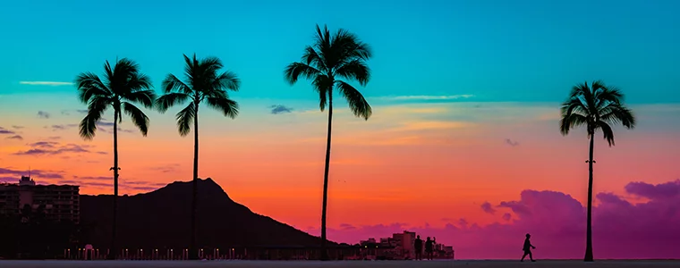 Sunset scene of diamond head with palm trees