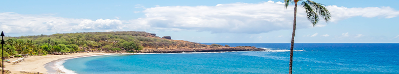 Lanai Lanai – The Pineapple Island