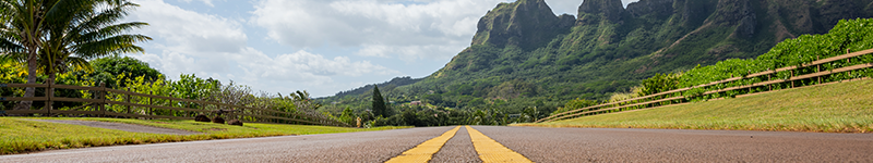 highway road through hawaii