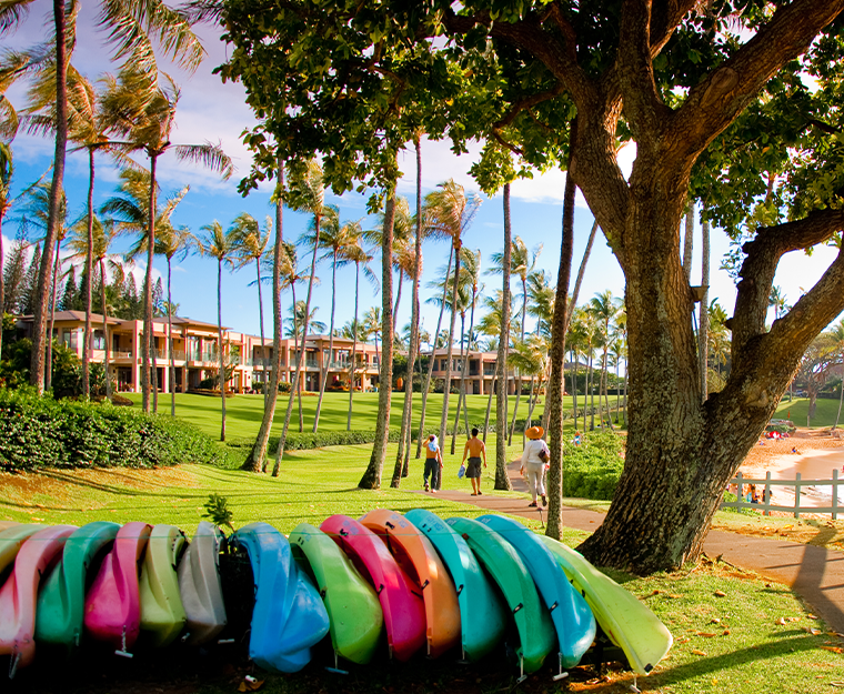 park in maui with palm trees and kayak