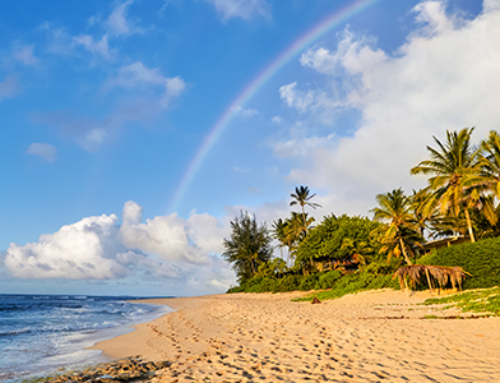 Discover the 12 Best Beaches on Maui