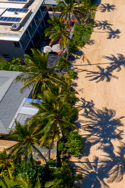 1 17 22 Waianae