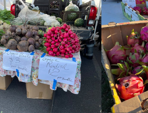 Hawaii Farmers’ Market Spotlight: The Upcountry Farmers’ Market on Maui