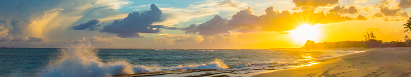 01 31 23 Local Move Guide Oahu – Ewa