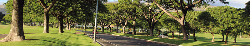 01 31 23 Local Move Guide Oahu – Kapolei