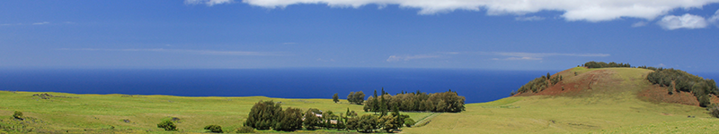 Kona Waimea