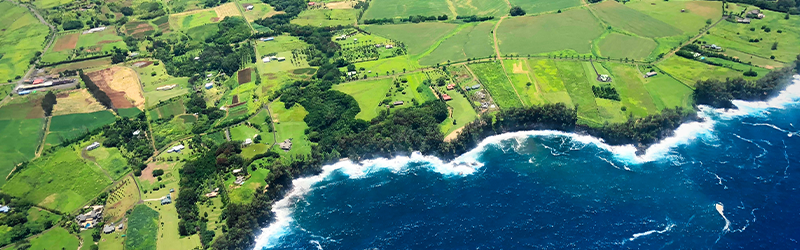 hilo hamakua