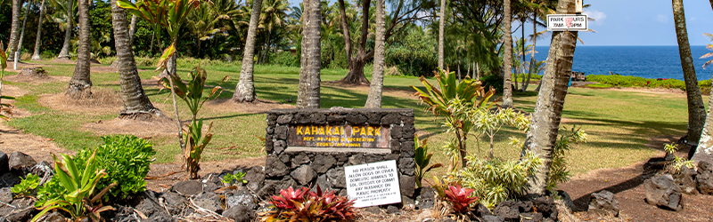 hilo hawaiian beaches