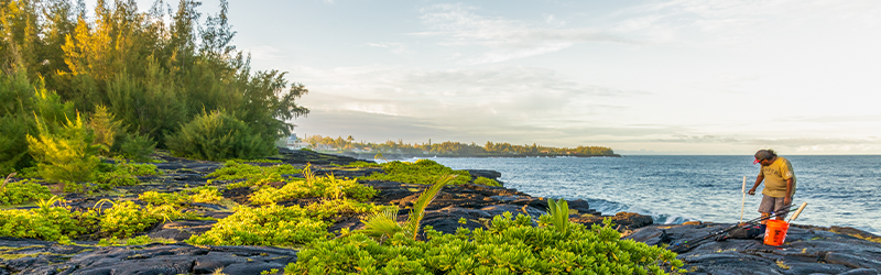 hilo hawaiian paradist park