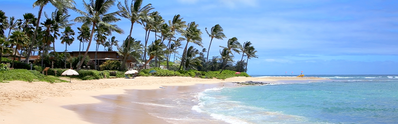 kauai Kōloa & Poʻipū Kōloa