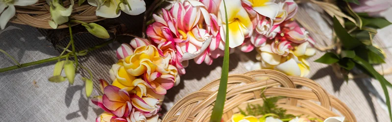 061223 Hawaiian Culture – lei making