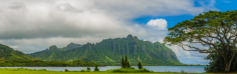 061923 Hawaiian Words for Nature – ʻĀina