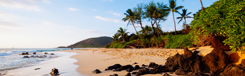 062623 Retirement in Hawaii – beach