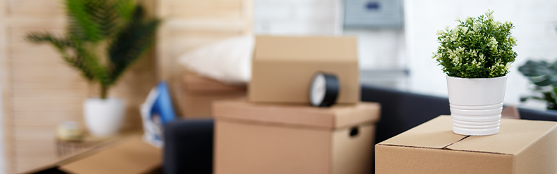 072423 Selling a home in Hawaii – moving