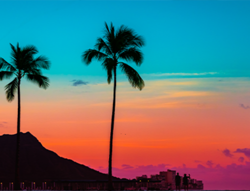 Living in Waikiki: Our Complete Guide on Where to Work, Shop, Play & More!