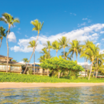 Maui HI_featured Vacation cottages on the beach with palms, Maui, Hawaii.