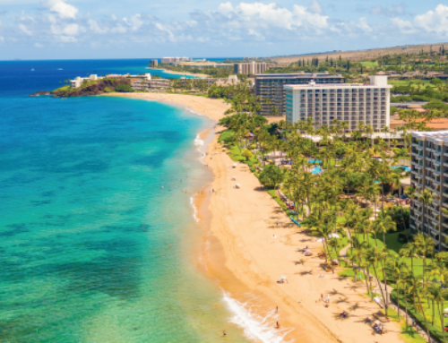 The Ultimate Hawaii Moving Guide